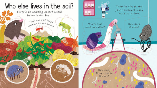 Usborne Lift-The-Flap First Questions & Answers: Why Do We Need Worms?