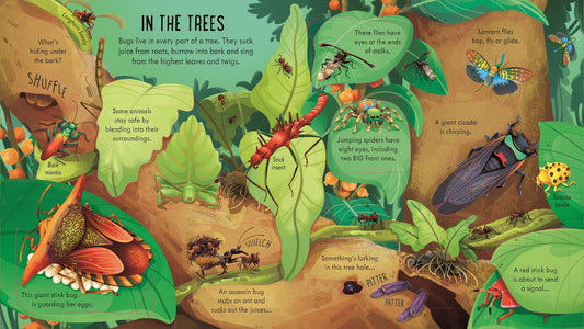 Usborne Look Inside Bug World