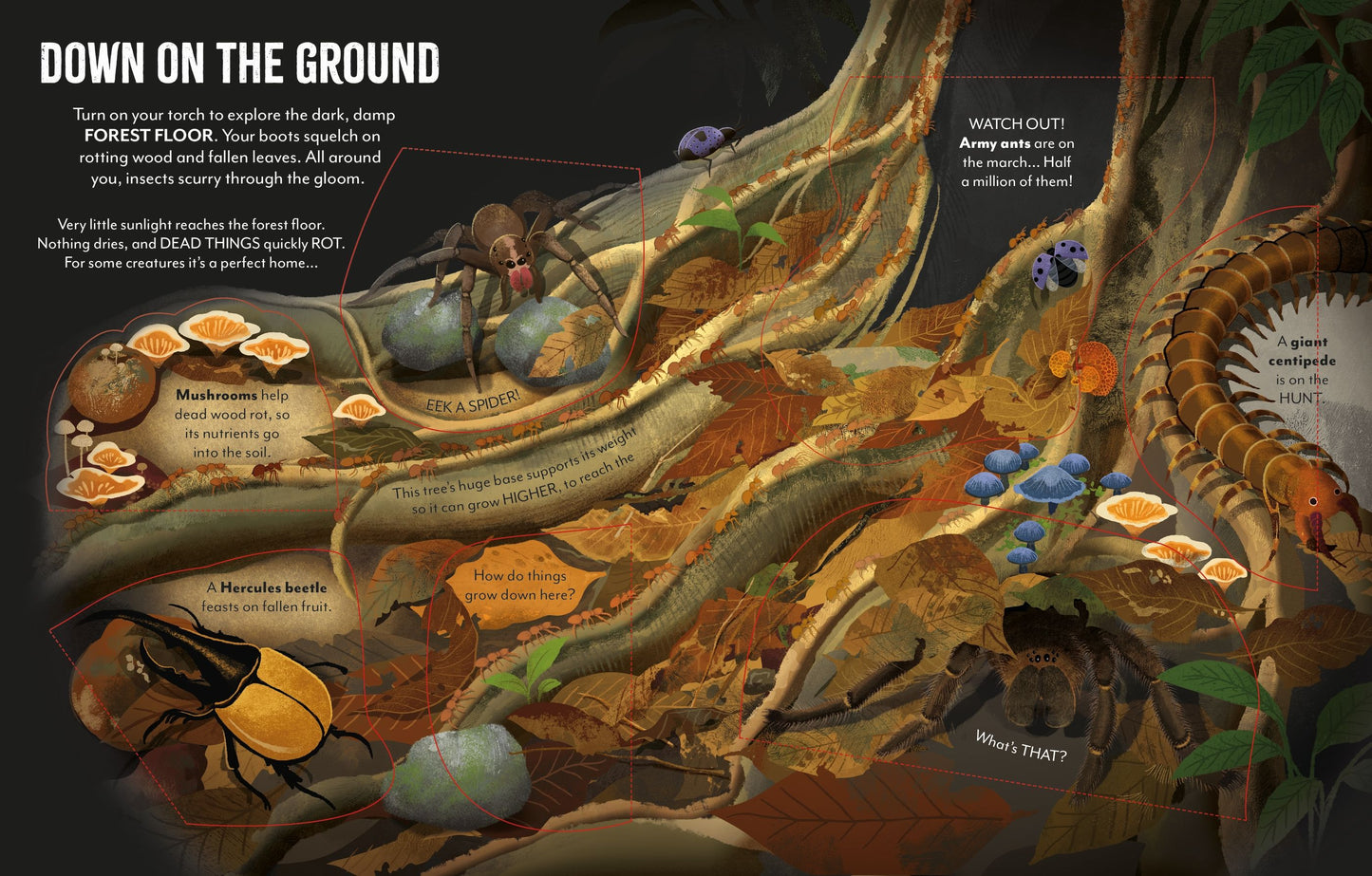 Usborne Extreme Planet: Journey Through The Amazon With Flaps