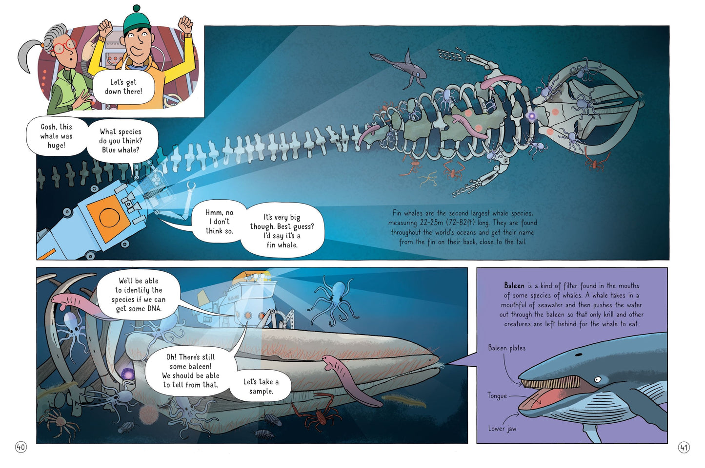 Usborne 24 Hours Under the Ocean