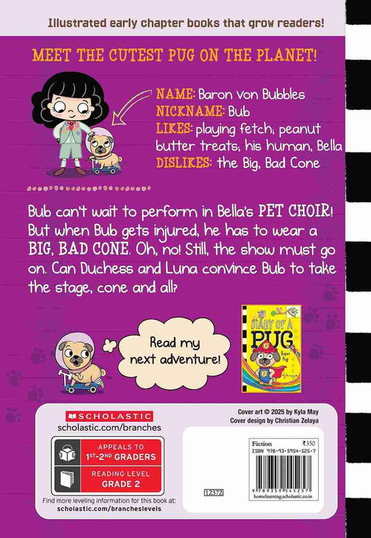 Diary Of A Pug #12: Get Well, Pug