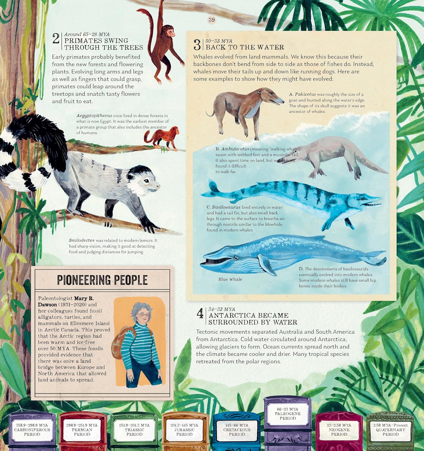 Evolution - Sarah Darwin