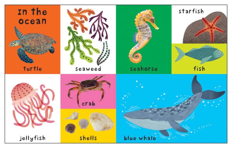 Priddy Books: First 100 Nature Words