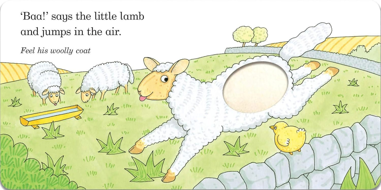 A Touch-and-Feel Book Fluffy Chick