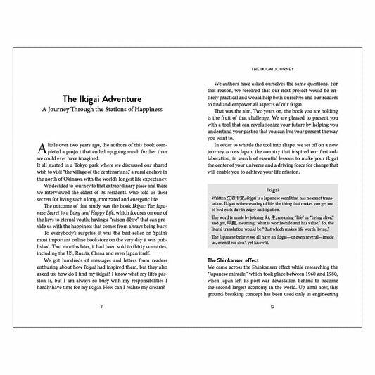 The Ikigai Journey