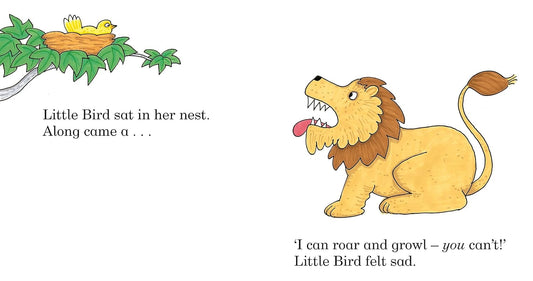 Little Bird - Rod Campbell