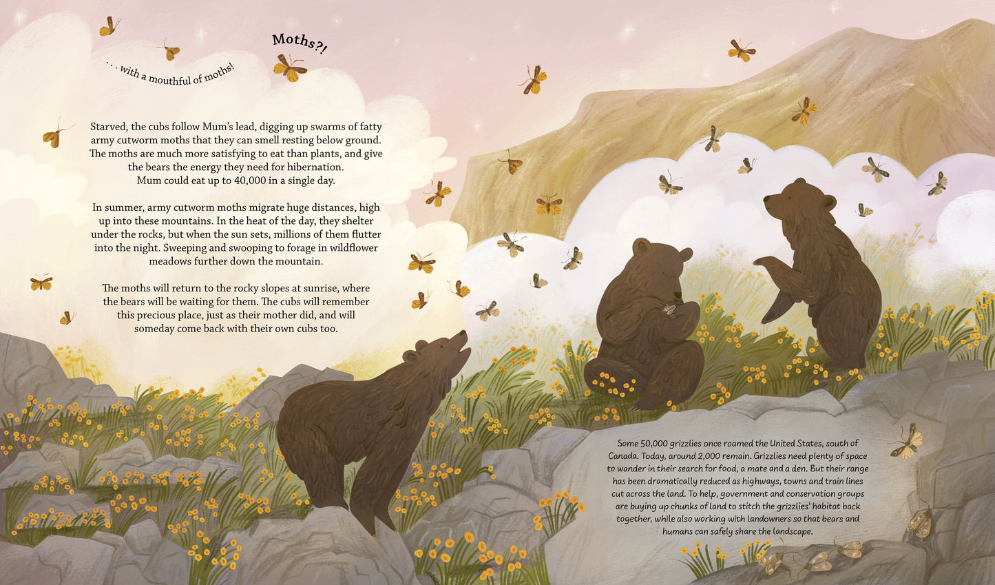 Happy Stories for Animal Lovers