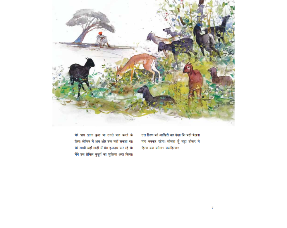 Panch Pairon Wali Hathi - Hindi