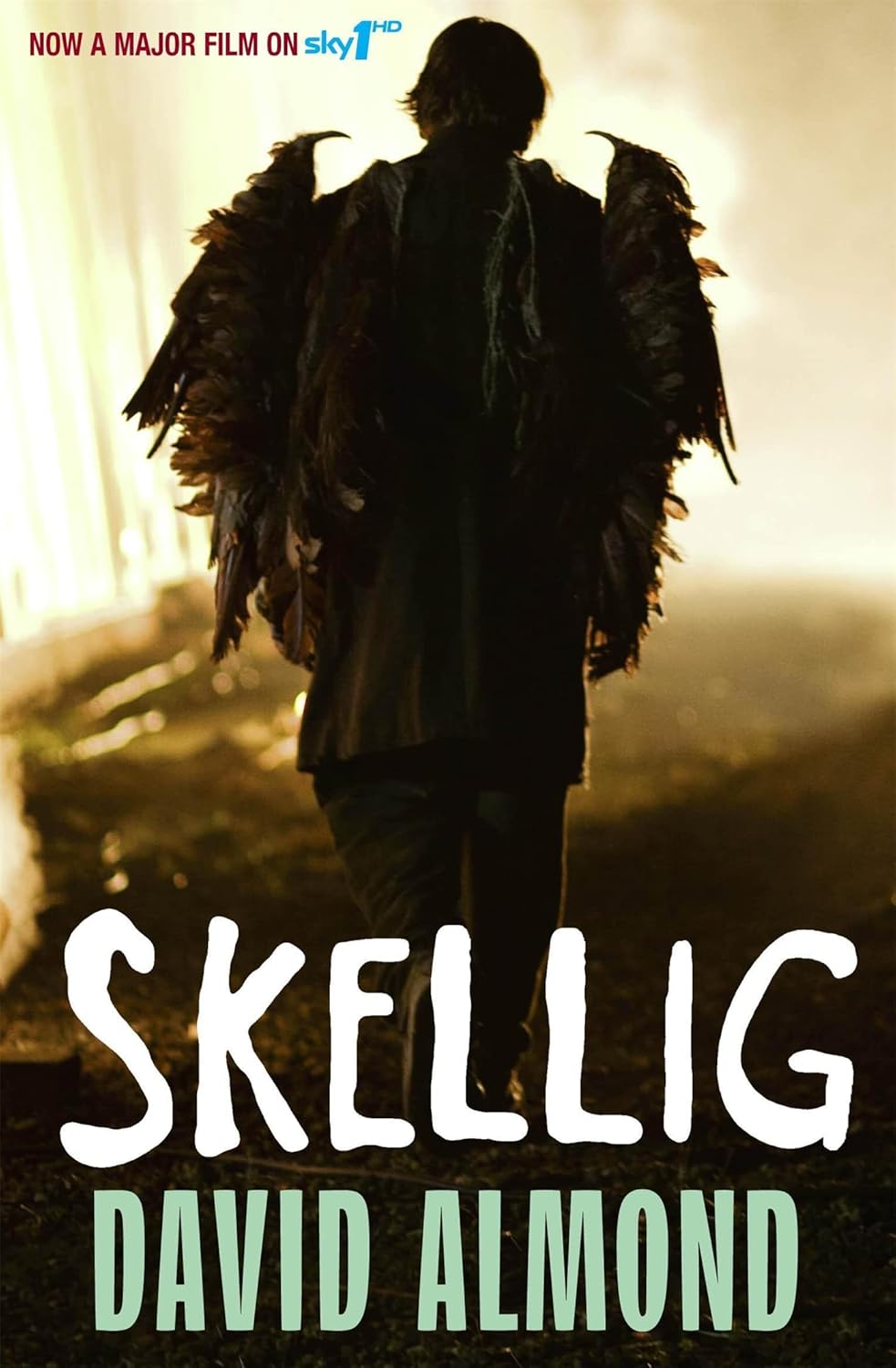 Skellig - David Almond