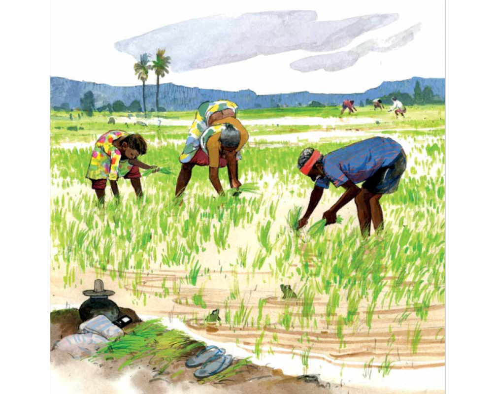 Titehari ka Bachcha - Hindi