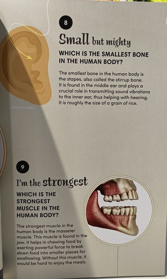 101 Q & A Human Body