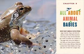 Do You Know Where The Animals Live? Discovering the Incredible Creatures all Around Us