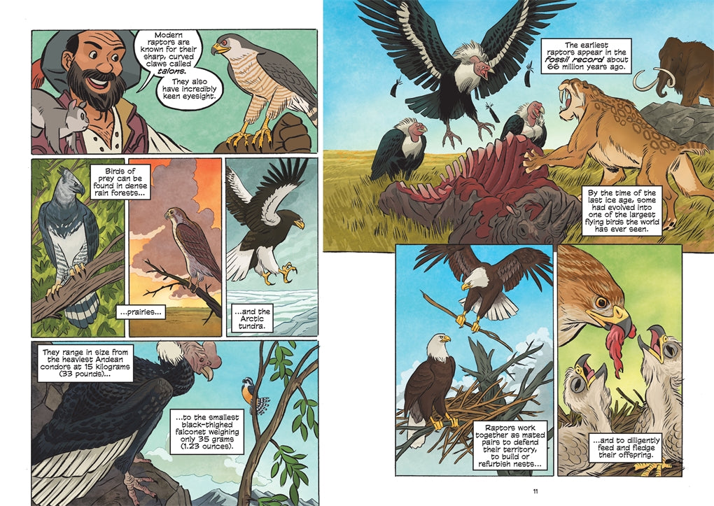 Science Comics Birds Of Prey: Terrifying Talons