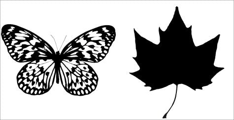 Black On White - Tana Hoban