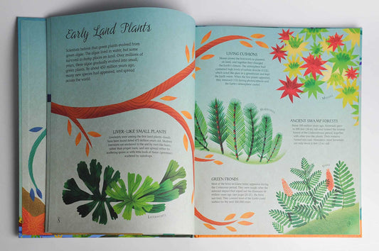 Darwin's Tree of Life