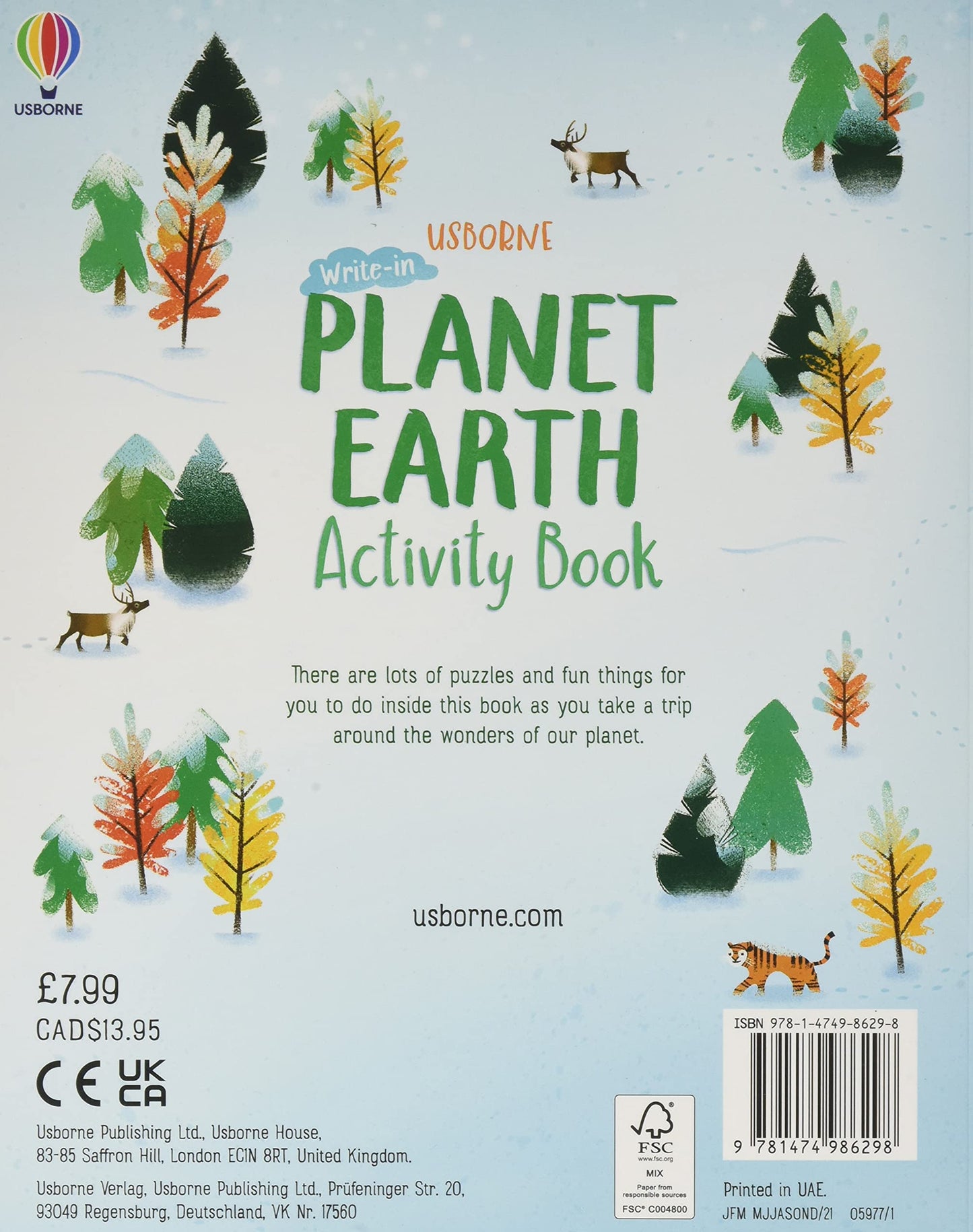 Usborne Planet Earth Activity Book