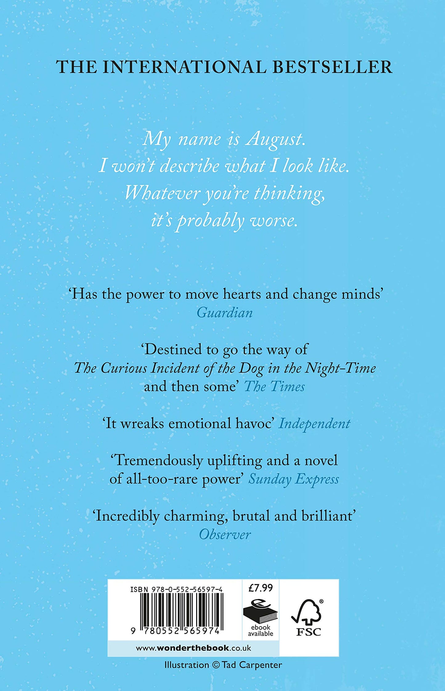 Wonder - (Paperback)