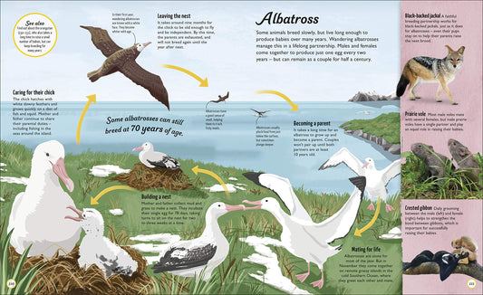 DK Life Cycles: Everything from Start to Finish