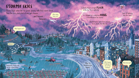 Usborne Look Inside Wild Weather