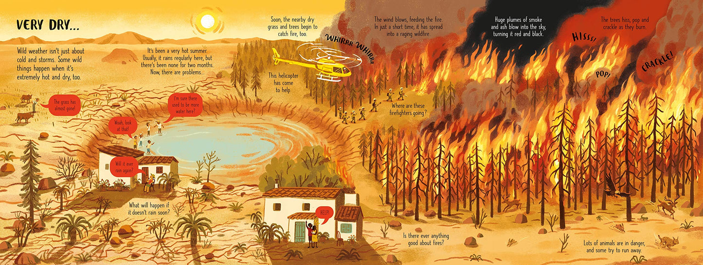 Usborne Look Inside Wild Weather