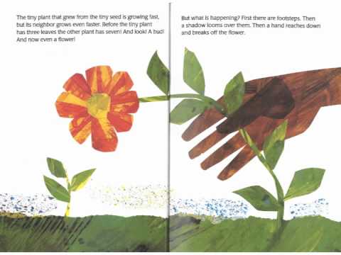 The Tiny Seed - Eric Carle