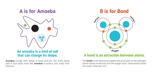 ABCs of Science