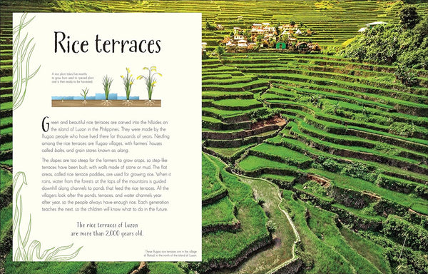 DK An Anthology of Our Extraordinary Earth