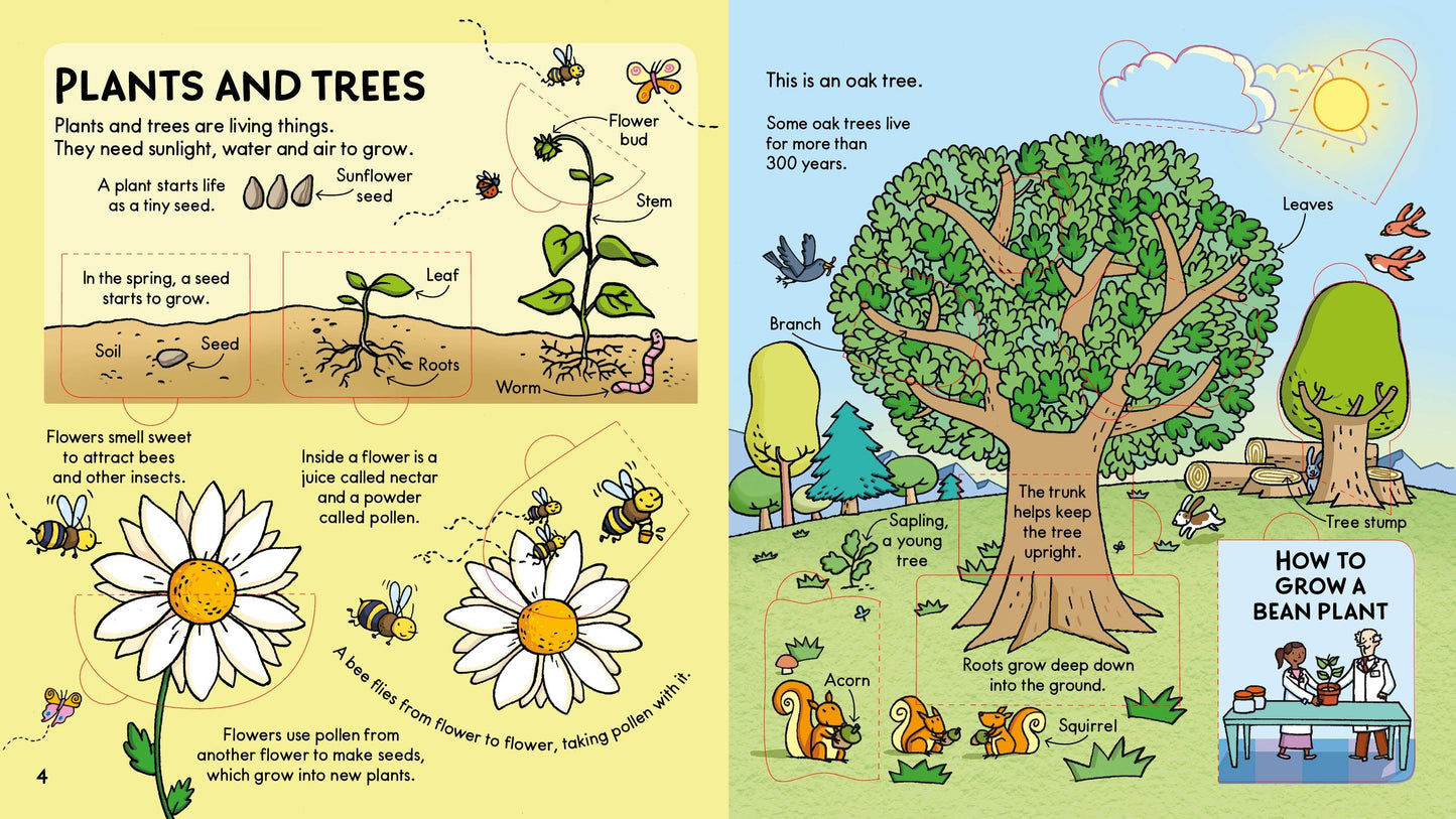 Usborne Lift-the-Flap: Look Inside Science