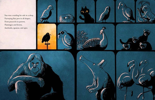 Star and the Maestro: How a Musical Bird Made Melodies with Mozart