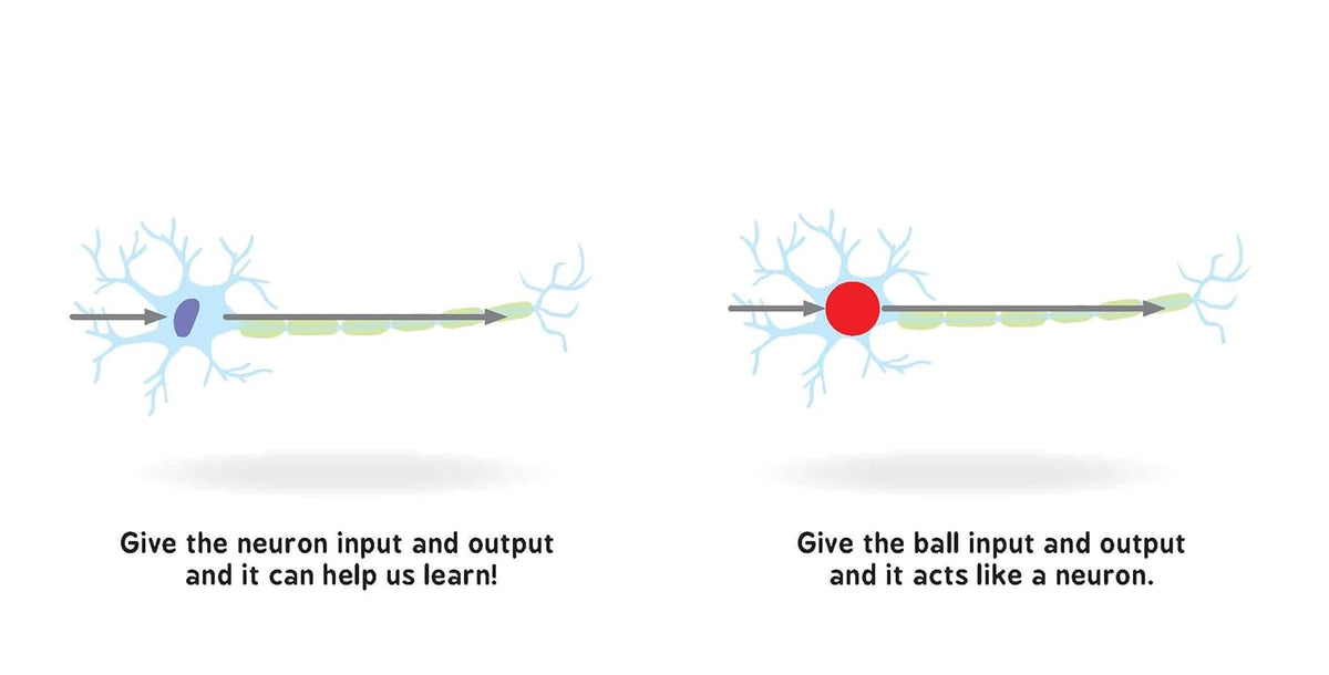 Neural Networks for Babies