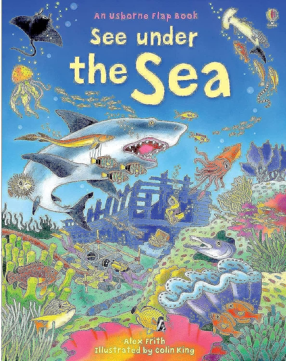 An Usborne Flap Book: See Under the Sea