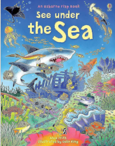 An Usborne Flap Book: See Under the Sea