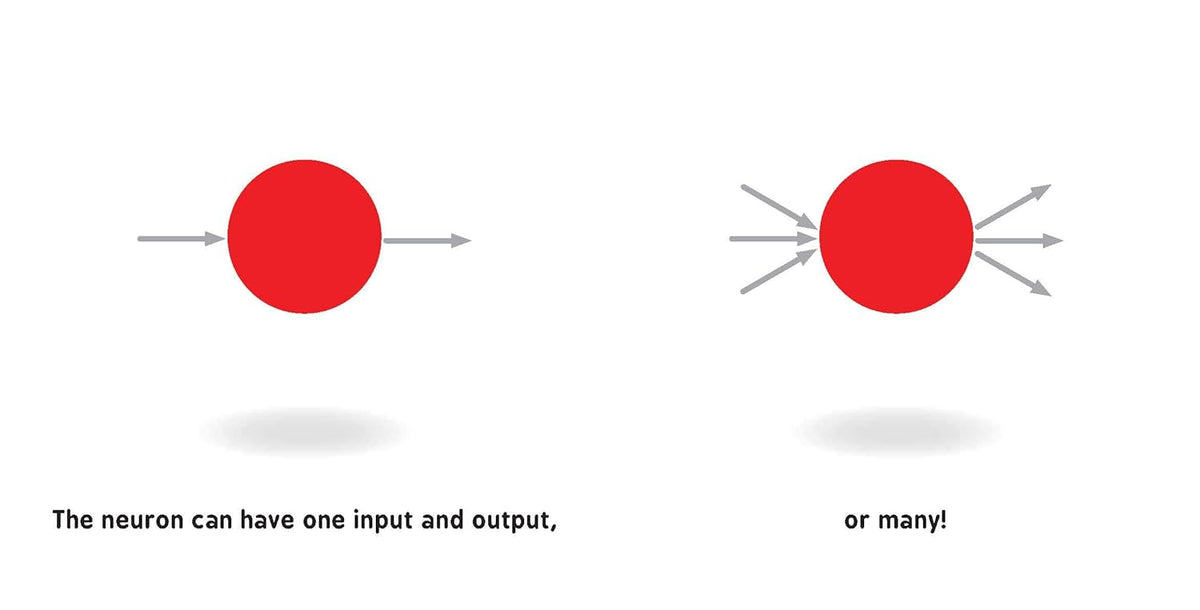 Neural Networks for Babies