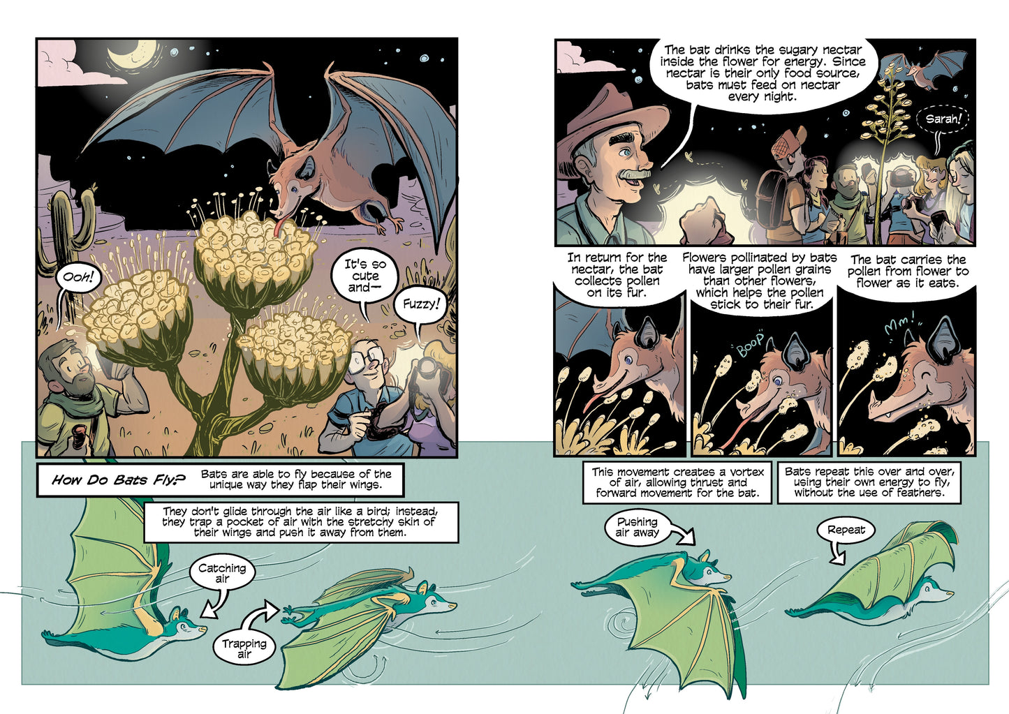 Science Comics Bats: Learning to Fly