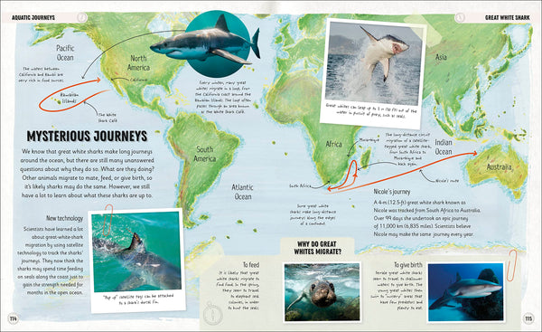 DK Amazing Animal Journeys: The Most Incredible Migrations in the Natural World