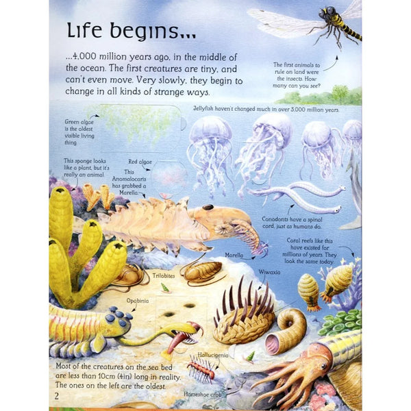 An Usborne Flap Book: See Inside the World of Dinosaurs