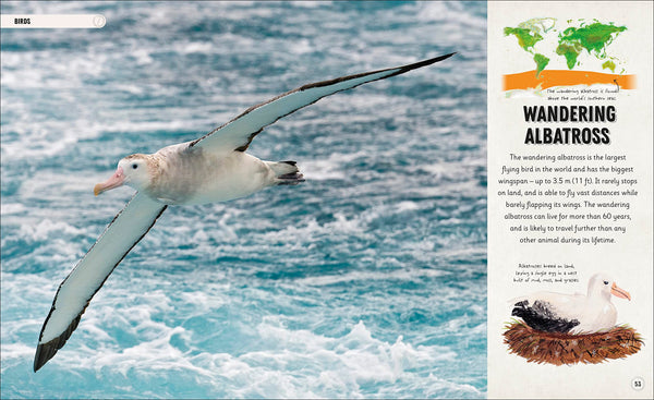 DK Amazing Animal Journeys: The Most Incredible Migrations in the Natural World