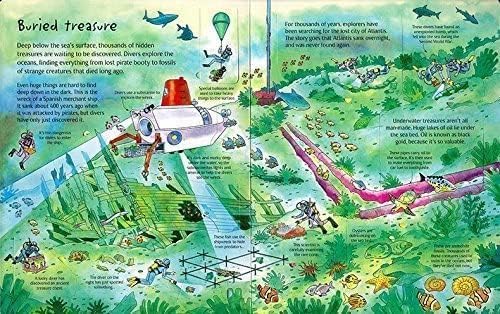 An Usborne Flap Book: See Under the Sea