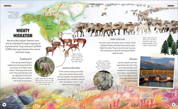 DK Amazing Animal Journeys: The Most Incredible Migrations in the Natural World