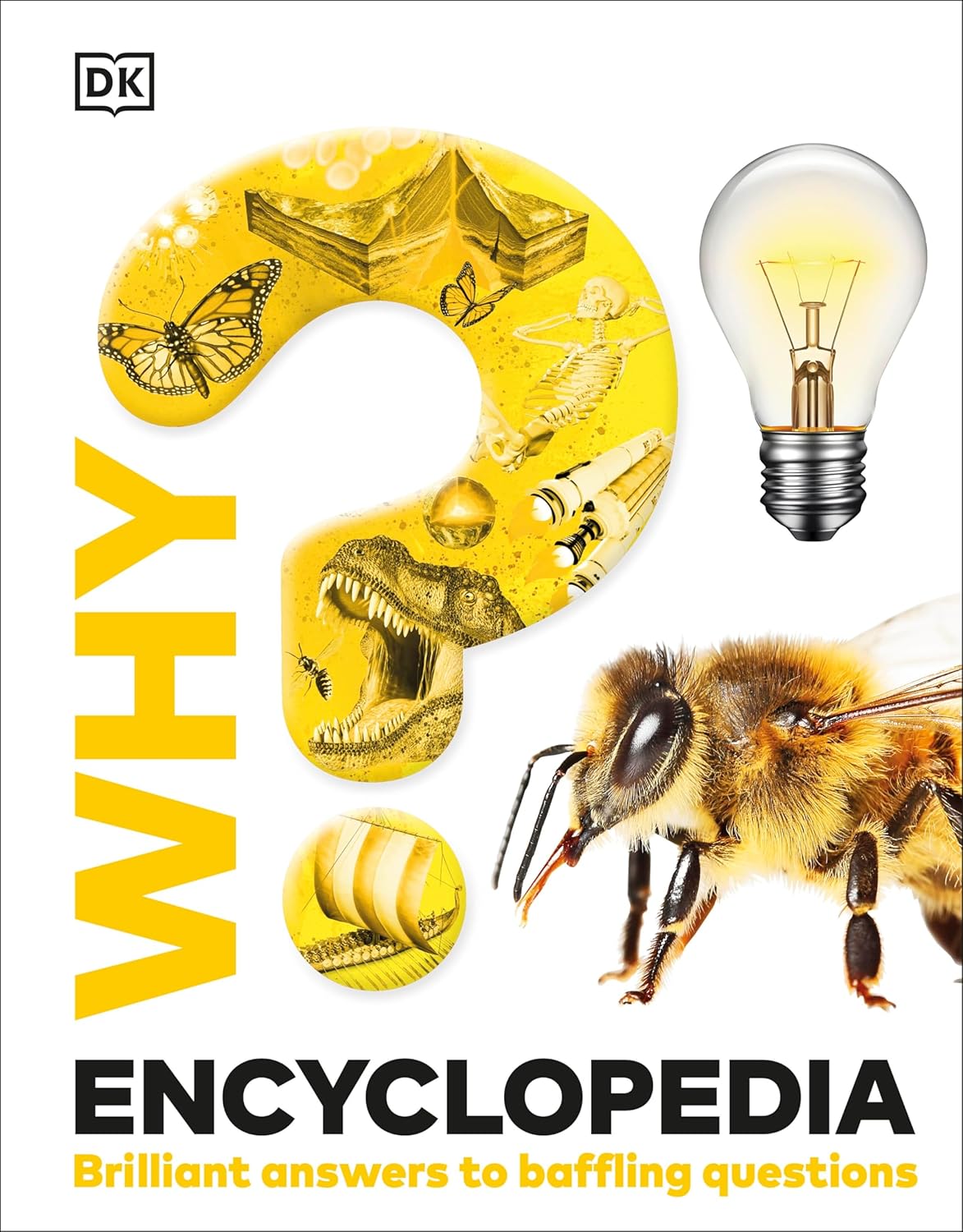 DK Why? Encyclopedia: Brilliant Answers to Baffling Questions