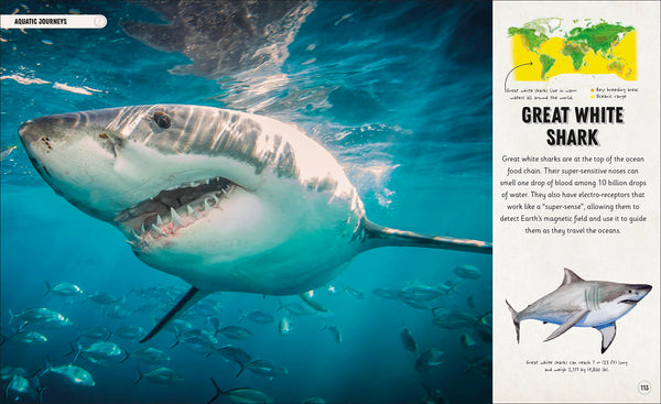 DK Amazing Animal Journeys: The Most Incredible Migrations in the Natural World