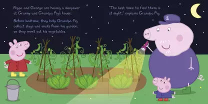 Peppa Pig Night Creatures: A Lift-the-Flap Book