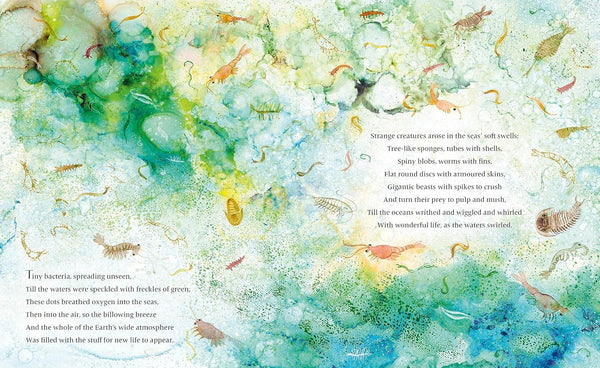 Life: The Story of Life on Earth