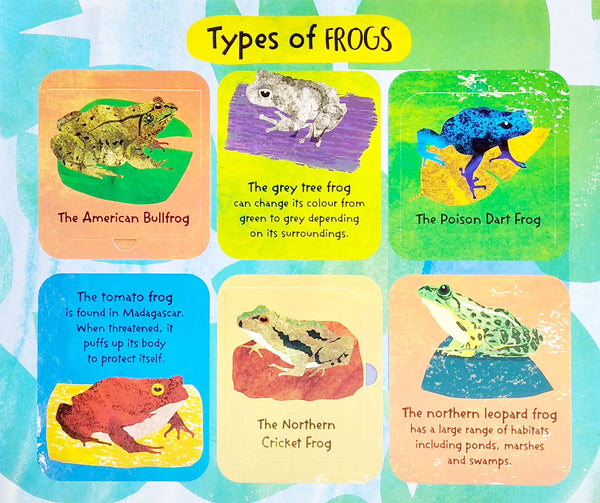 The Life Cycle Of Frogs