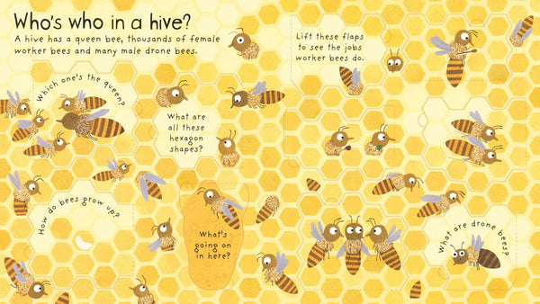 Usborne Lift-the-Flap First Questions and Answers: Why Do We Need Bees ?