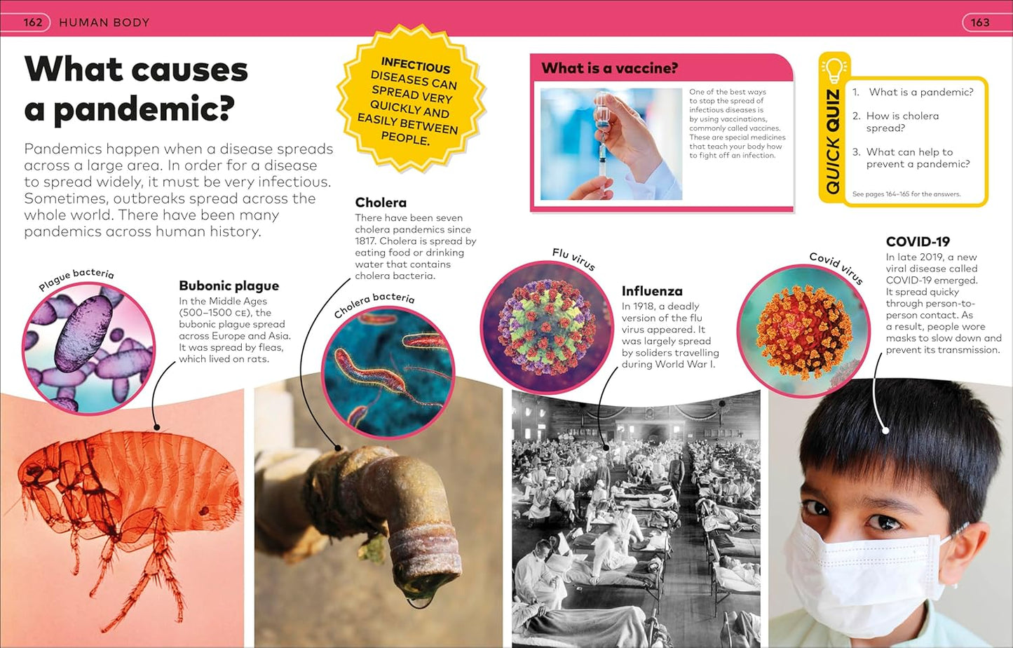 DK Why? Encyclopedia: Brilliant Answers to Baffling Questions