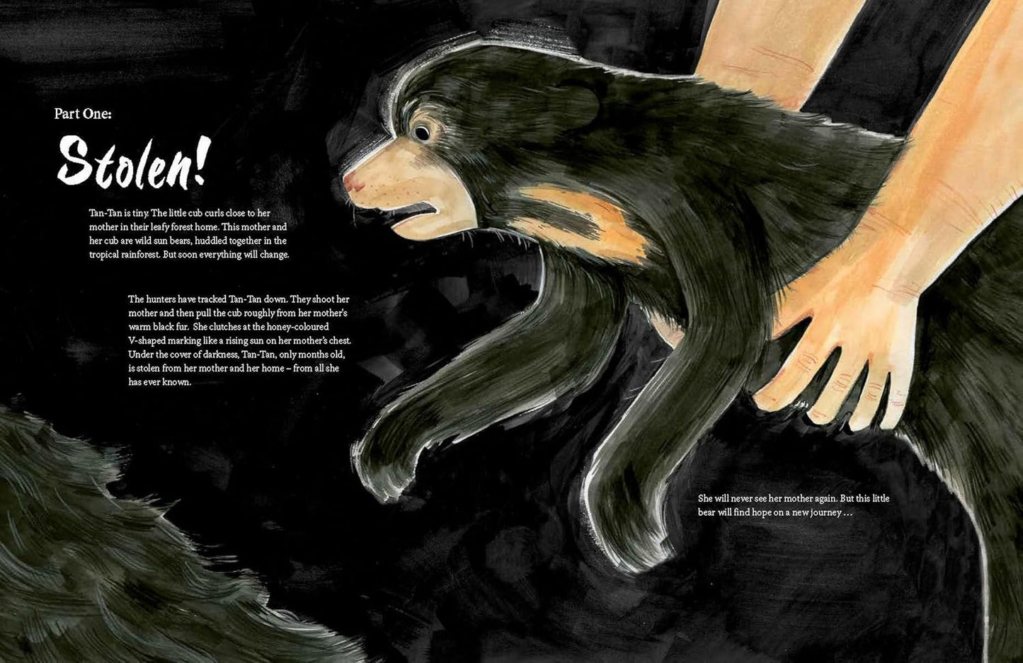 A Bear Belongs: A Rescue Story - Catherine Barr