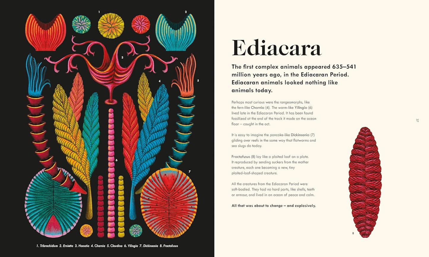 The Wonder of Life on Earth: The Story of Our Planet, Evolution and You