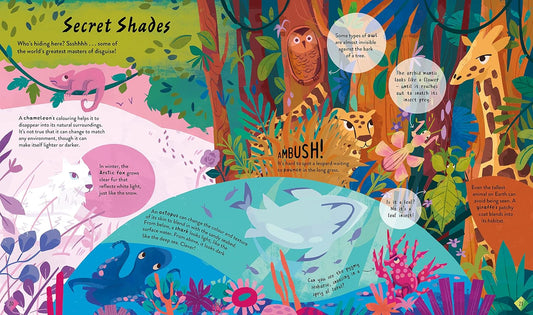 The Stories & Secrets of Colours: Discover How Colours Brighten Our World