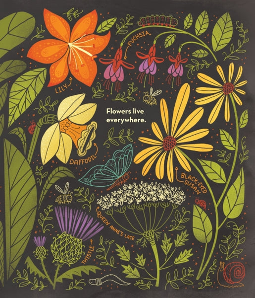 What's Inside A Flower? And Other Questions About Science & Nature